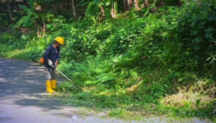 Dinas PU Sukabumi Bersihkan 10,2 KM Bahu Jalan Citepus-Cikurutug