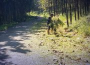 UPTD PU Sagaranten Bersihkan 300 Meter Bahu Jalan Cigadog-Cimangir