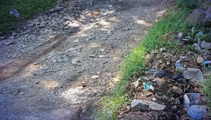 UPTD PU Jampangtengah Sukabumi Ungkap Rencana Perbaikan Jalan Cikawung-Rancaoray