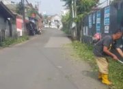 Rumput Liar di Ruas Cicurug – Cidahu Dibabat Habis, Upaya DPU Lakukan Pemeliharaan Jalan