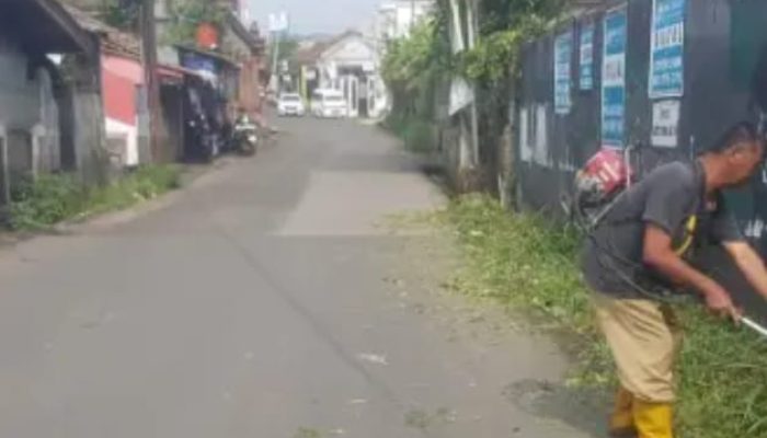 Rumput Liar di Ruas Cicurug – Cidahu Dibabat Habis, Upaya DPU Lakukan Pemeliharaan Jalan