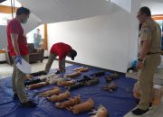 Sudin KPKP Jakarta Utara Bidik 250 Kucing Lokal Jantan Untuk di Sterilisasi dan Vaksin Rabies 