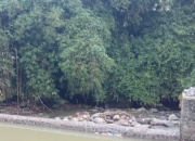 Selesainya Perbaikan Bendungan Leuwi Bangga di Kecamatan Cibadak Sukabumi Memastikan Kehidupan Baru bagi Lahan Pertanian