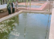 Pengembangan UMKM Melalui Budidaya Lele, Strategi Peningkatan Ketahanan Pangan di Desa Padajaya