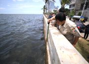 Pemprov DKI Percepat Perbaikan Tanggul Pantai Mutiara