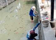 Perbaikan Turap Kali Swasembada Capai 70 Persen