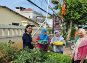 Gerakan PSN dan Panen Bersama Warnai Jumat Pagi di Kelurahan Rawa Badak Utara