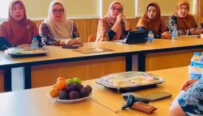 Kadis KUKM Sri Hastuty Ikuti Rapat Dekranasda, Bahas Evaluasi Program 2025 & Susun Rencana Kerja 2026