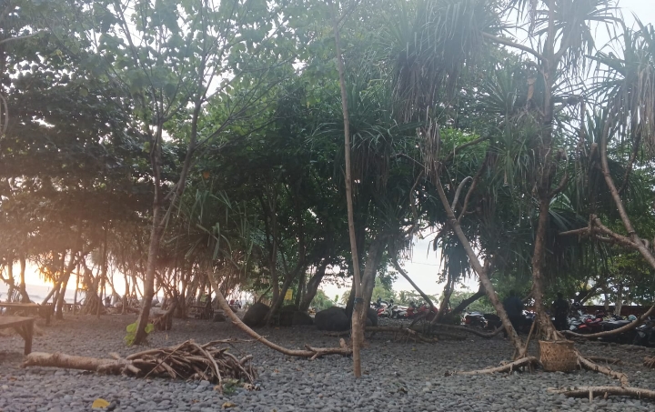 Ratusan pohon pandan laut yang berusia puluhan tahun menjadi ke-khasan tersendiri dan menjadi pelindung panas yang membuat suasana senantiasa sejuk dari pagi hingga sore hari