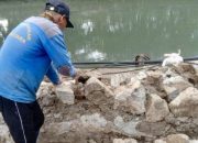 Peninggian Turap Kali Sunter Ditargetkan Rampung Maret 2026