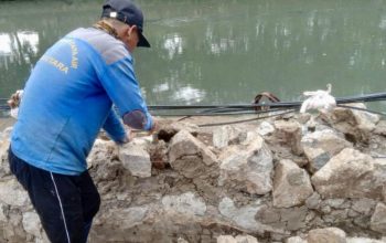 Peninggian Turap Kali Sunter Ditargetkan Rampung Maret 2026