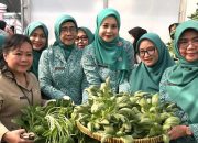 Panen Serentak di Jakut Hasilkan 703 Kilogram Komoditas Pertanian dan Perikanan