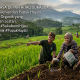 Menjemput Masa Depan Hijau di Tangan Petani Milenial Sukabumi