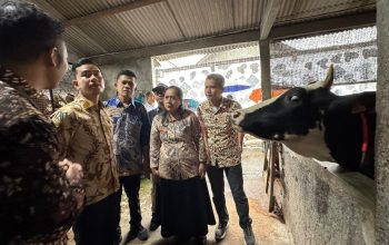 Wapres Gibran Instruksikan Percepatan Vaksinasi dan Hilirisasi Sapi di Boyolali