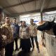 Wakil Presiden Gibran Rakabuming meninjau peternakan sapi Ampaslovers' Sayekti Farm di Pagerjurang, Kecamatan Musuk, Boyolali, Jawa Tengah pada Jumat 27 Maret 2026. (Foto: BPMI Setwapres)