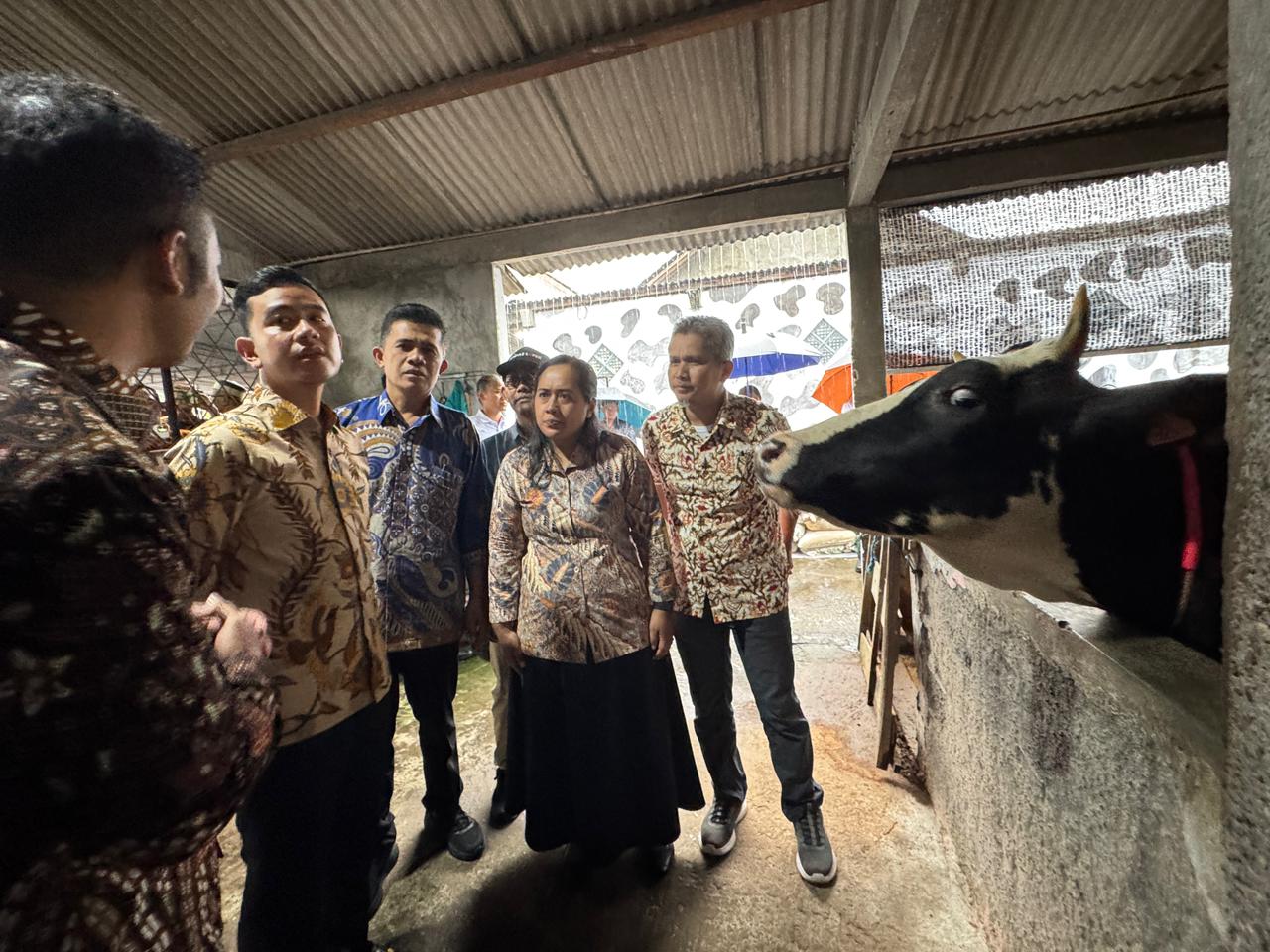 Wakil Presiden Gibran Rakabuming meninjau peternakan sapi Ampaslovers' Sayekti Farm di Pagerjurang, Kecamatan Musuk, Boyolali, Jawa Tengah pada Jumat 27 Maret 2026. (Foto: BPMI Setwapres)