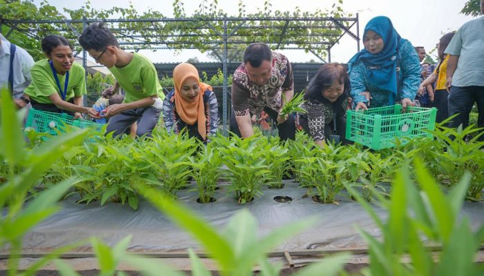 Wali Kota Jakut Panen Bersama Anak Istimewa, Lovely Garden Jadi Simbol Harapan dan Kepedulian