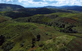 Distan Sukabumi Gunakan Teknologi Poligonisasi untuk Kejar Target 320 Ribu Hektare Padi Gogo Nasional