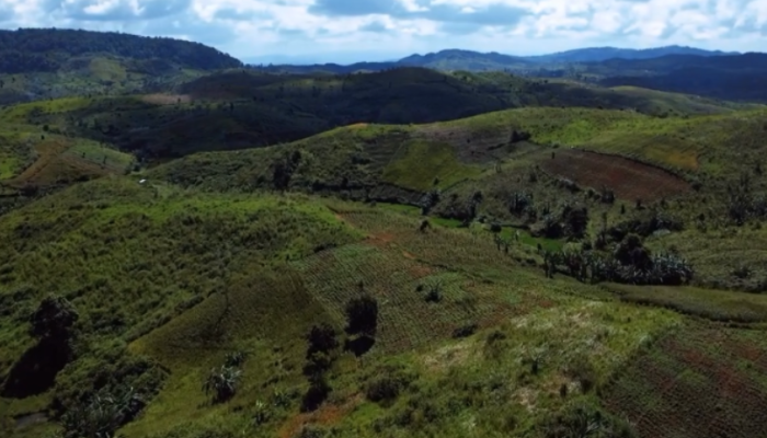 Distan Sukabumi Gunakan Teknologi Poligonisasi untuk Kejar Target 320 Ribu Hektare Padi Gogo Nasional