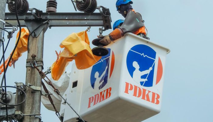 Terang Hingga Pelosok, Listrik PLN Kini Jadi Nadi Baru Kehidupan Warga Desa Darmareja