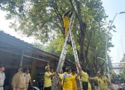 Percepat Penanganan Infrastruktur Pemkot Jakut Bentuk Tim SIGAP