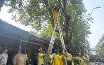 Percepat Penanganan Infrastruktur Pemkot Jakut Bentuk Tim SIGAP