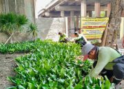 Sudin Tamhut Jakarta Utara Ubah Kolong Tol Eks TPS Sampah Ilegal Jadi Taman Indah