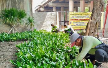 Sudin Tamhut Jakarta Utara Ubah Kolong Tol Eks TPS Sampah Ilegal Jadi Taman Indah