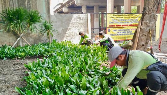 Sudin Tamhut Jakarta Utara Ubah Kolong Tol Eks TPS Sampah Ilegal Jadi Taman Indah