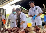Suku Dinas KPKP Jakut Pastikan Daging Kurban Aman Untuk di Konsumsi