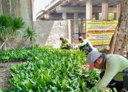Sudin Tamhut Jakut Targetkan Penataan dan Penghijauan Taman Kota di 81 Lokasi