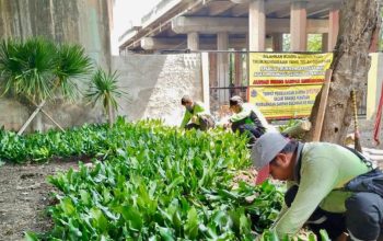 Sudin Tamhut Jakut Targetkan Penataan dan Penghijauan Taman Kota di 81 Lokasi