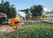 TPS Liar Sampah di Jalan RE Martadinata Dijadikan Taman.