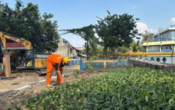 TPS Liar Sampah di Jalan RE Martadinata Dijadikan Taman.