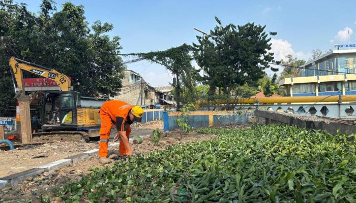 TPS Liar Sampah di Jalan RE Martadinata Dijadikan Taman.