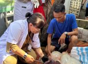 Sudin KPKP Jakut Afkir 70,9 Kilogram Organ Hewan Kurban