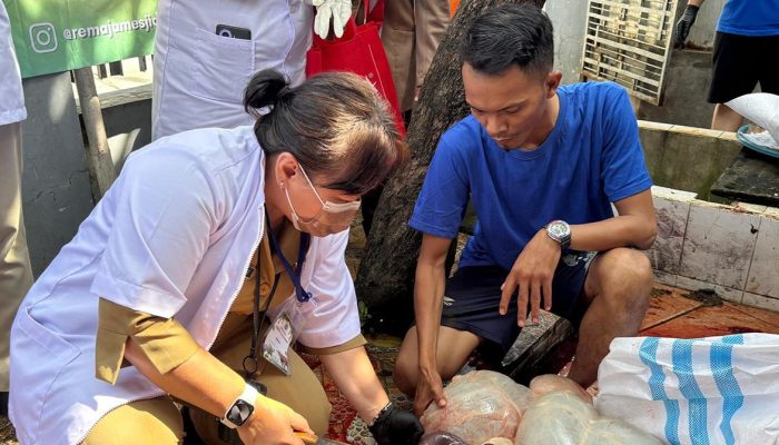 Sudin KPKP Jakut Afkir 70,9 Kilogram Organ Hewan Kurban