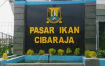 Kadiskan Ungkap Harga Ikan dari Awal Mei Cenderung Stabil dan Pasokan Terpenuhi