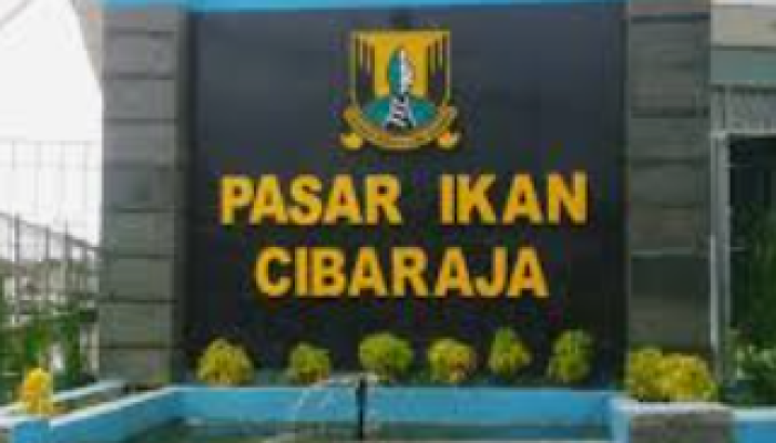 Kadiskan Ungkap Harga Ikan dari Awal Mei Cenderung Stabil dan Pasokan Terpenuhi