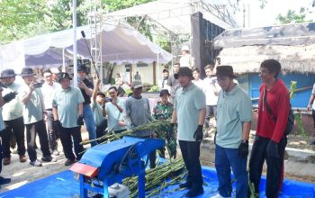 Sorgum Jadi Solusi Energi Hijau, Wabup Andreas: Terobosan Penting Berkelanjutan