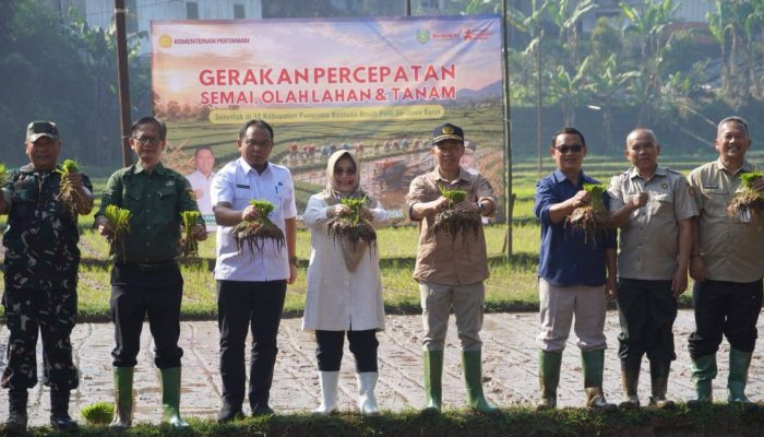 Sekda Sukabumi Hadiri Kegiatan Gerakan Percepatan Semai, Olah Lahan dan Tanam di Nyalindung