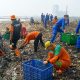 Petugas Gabungan Akselerasi Penanganan Sampah di Pesisir Muara Angke