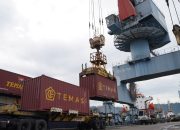 Triwulan I 2026, Arus Peti Kemas Teluk Bayur Naik 5,3%