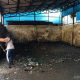 Penumpukan Sampah di TPS Rusun Waduk Pluit Sudah dibersihkan 