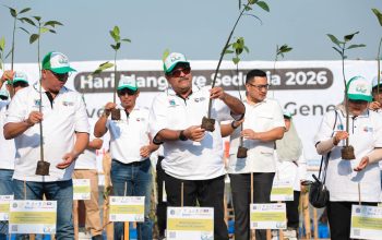 Lestarikan Ekosistem Pesisir Jakarta, Pemprov DKI Tanam 21.060 Mangrove di Lima Lokasi