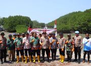 Polres Kepulauan Seribu Tanam 2.000 Mangrove dan Salurkan Bansos dalam Semangat HUT RI ke-81