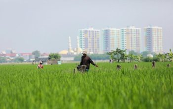 Langkah Antisipasi Sudin KPKP Jakut Hadapi Musim Kemarau