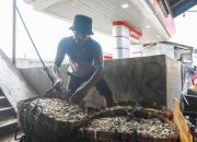 Musim Kemarau, Hasil Tangkapan Nelayan Jakarta Meningkat