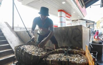 Musim Kemarau, Hasil Tangkapan Nelayan Jakarta Meningkat