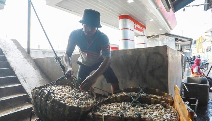 Musim Kemarau, Hasil Tangkapan Nelayan Jakarta Meningkat